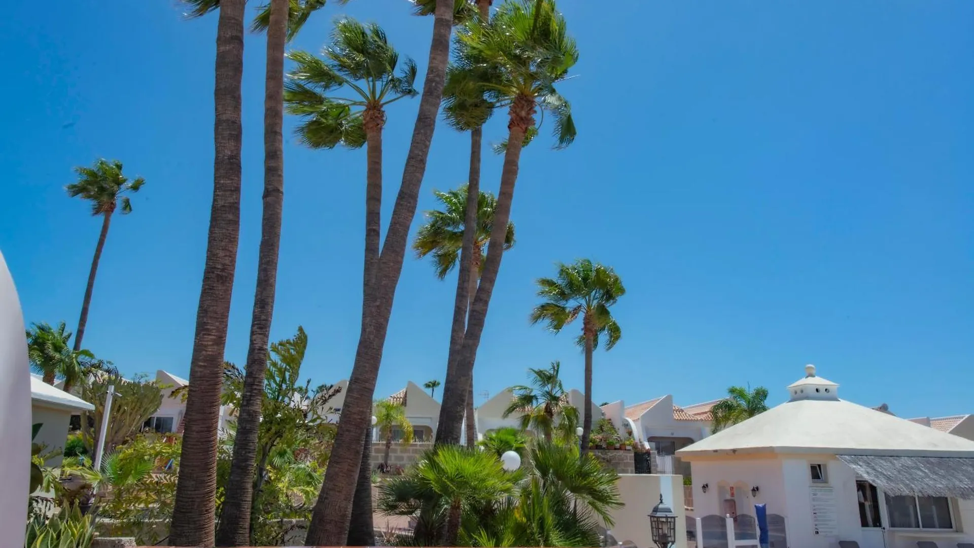 Bungalow Golf Del Sur San Miguel de Abona